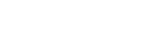 zappi logo